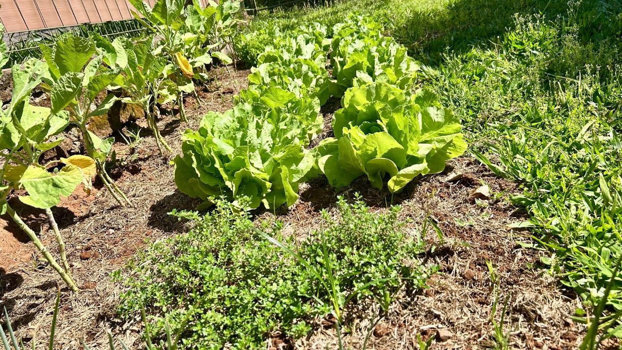Centro Vida Acolher - Nossa Estrutura